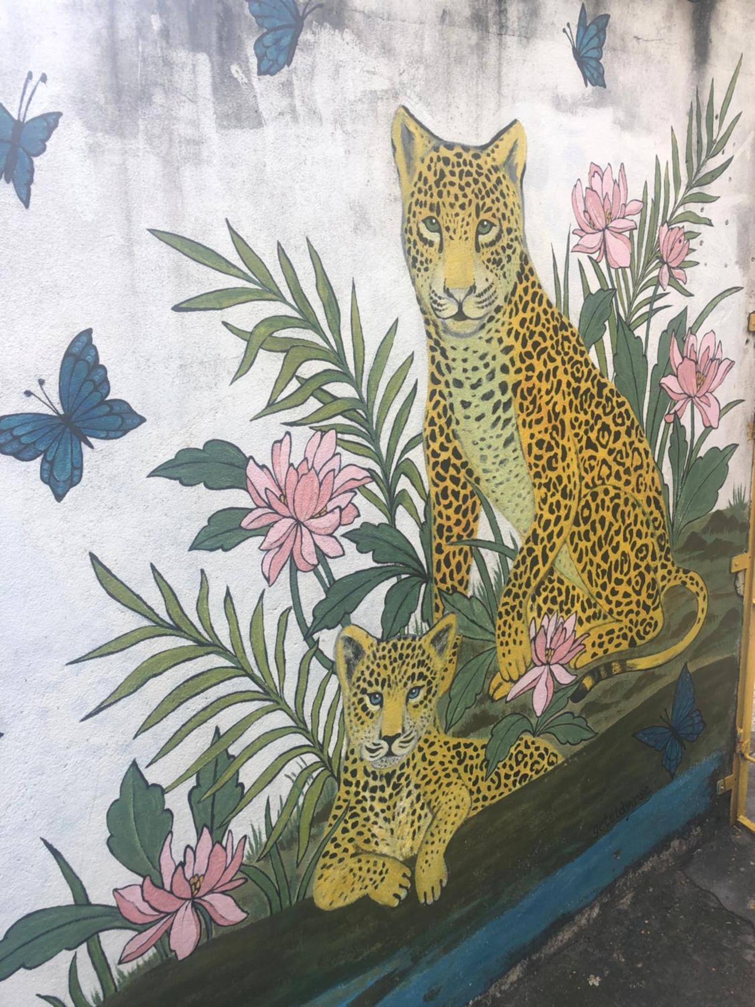 Onca Da Praia Hostel Vitória Eksteriør bilde